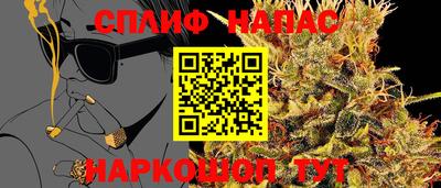 гидра Кингисепп