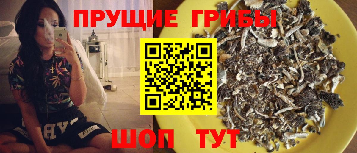 Кувандык  Псилоцибиновые грибы ЛСД  купить наркотик  Вход с VPN 